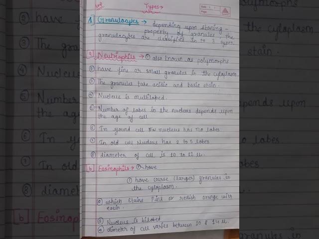 white blood cell. types of WBC ...hand ️ written notes physiology.... subscribe for more notes 