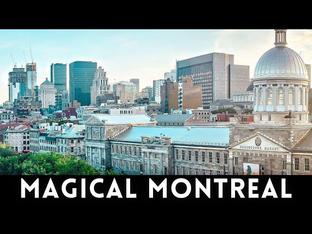 Visiting Montreal Can Be A Mind-Blowing Experience