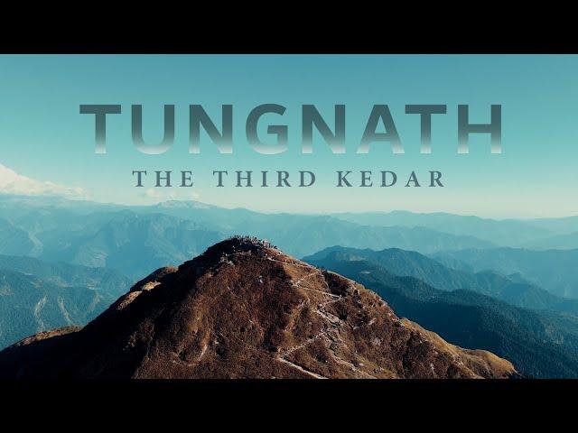 Trek To The Highest Kedar in The Himalayas: Tungnath | @GoBroNik | Tripoto