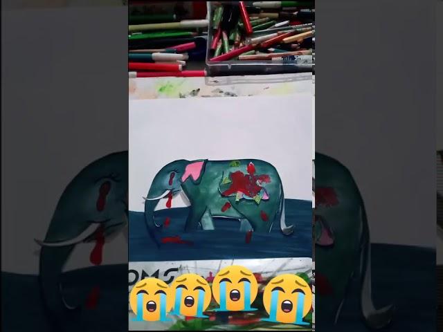 elephant  murder by pineapple with shaiyri