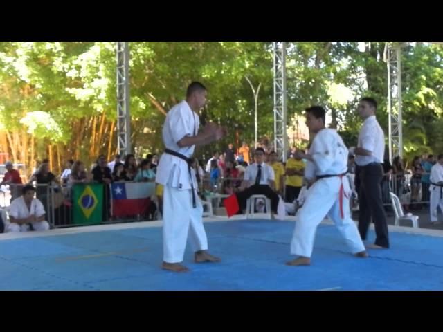 2º World Cup Karate Toeikan - Rafael Rodrigues (IFK Brazil) Vs Cosme Santos (Kyokushin)