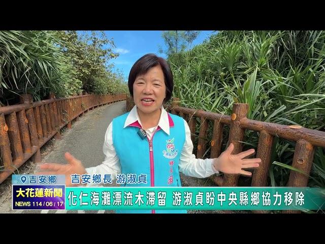 20250617 04 化仁海灘漂流木滯留 游淑貞盼中央縣鄉協力移除