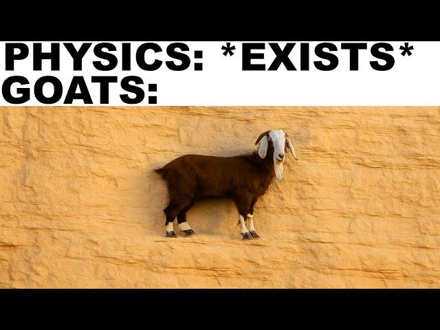 Physics Memes