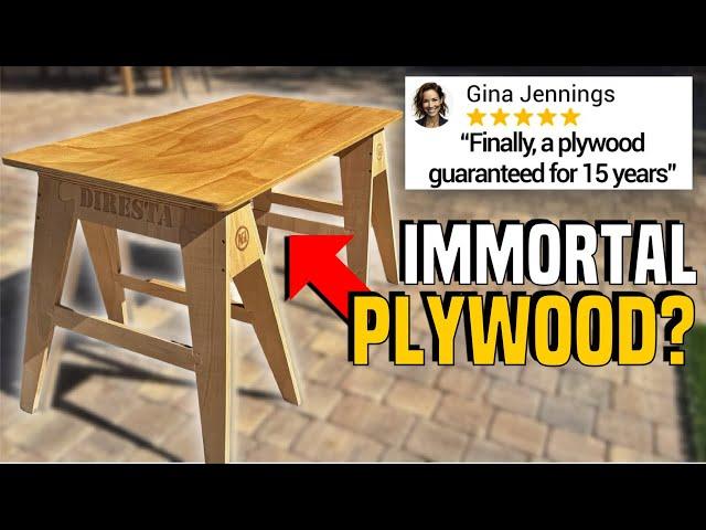 The Future Of Plywood: A Game-changer Has Arrived!