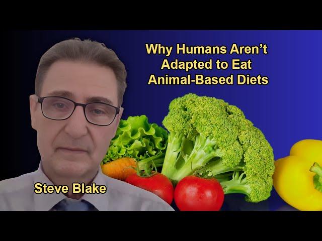 Why Humans Aren’t Adapted to Eat Animal-Based Diets