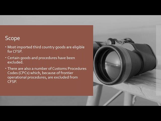 Customs 101: Customs Freight Simplified Procedures