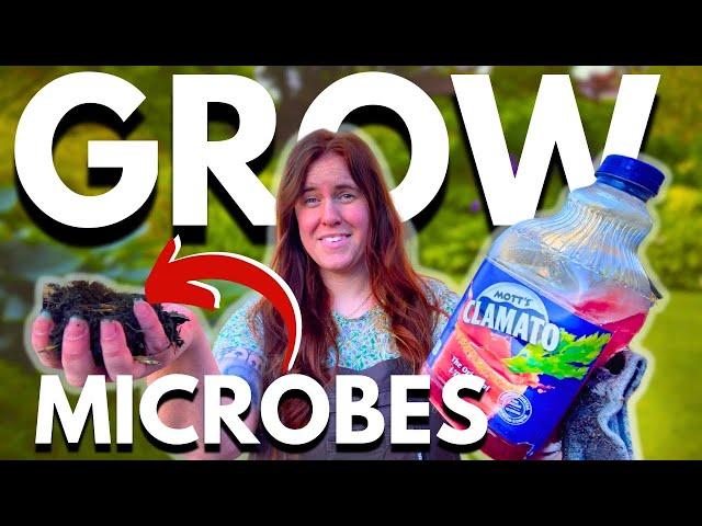 How To INCREASE Soil MICROBES (Science & Testing)