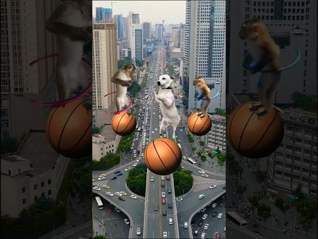 Vũ điệu tái sinh rimix  #taisinhremix #tungduong #taisinh #memix #viralvideo #funny #dog #dogcute