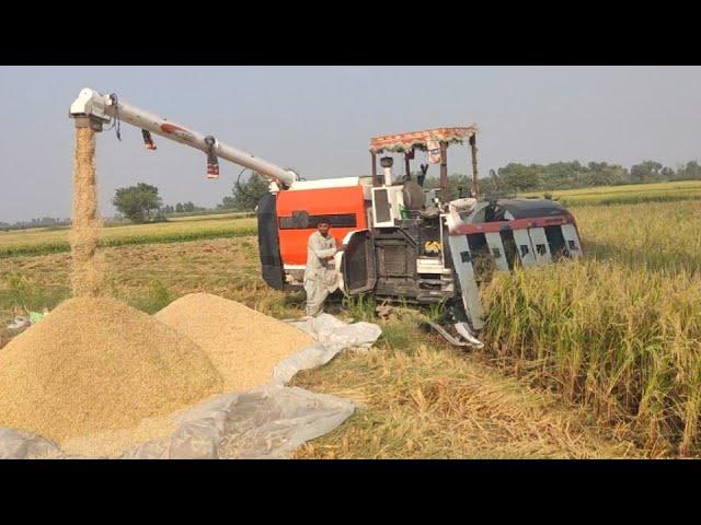 Kubota Paddy Rice Cutter Machines Efficient Harvesting | Japanese mini Rice Harvesting machine