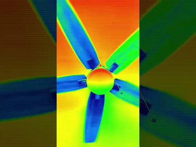 Ceiling fan in action 