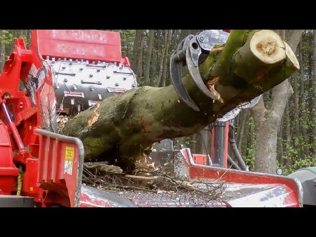 World's Amazing Modern Wood Chipper Machine Working - Extreme Wood Processor Big Tree Shredder Easy