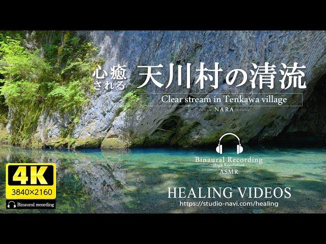 [Healing/Natural Sounds] Beautiful clear streams in Japan | Tenkawa Village | Binaural recording