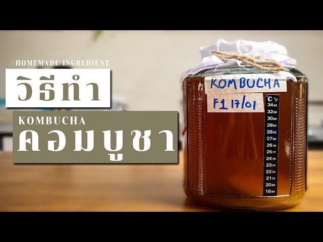 วิธีทำ คอมบูชา ชาหมักสุขภาพ แก้ท้องผูก ขับถ่ายไม่ดี ดื่มง่ายอร่อย | Homemade KOMBUCHA |Vegan Startup