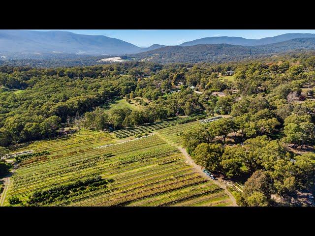 37.5 Acre Orchard- Integrity Real Estate Yarra Valley