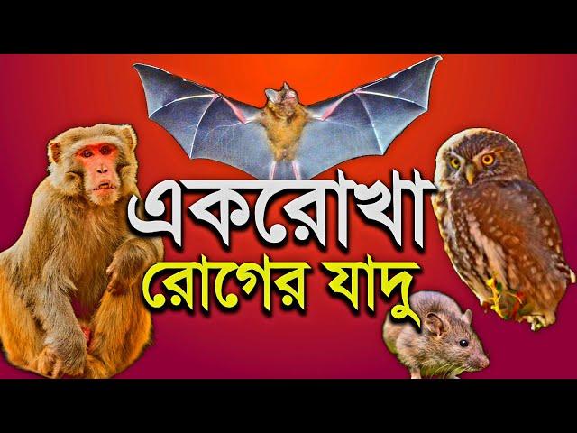 একরোখা- একঘেঁয়ে- গোঁয়ার- অবাধ্য- ঘাউরা হওয়ার যাদু  | Dangerous black magic #spiritual_tv