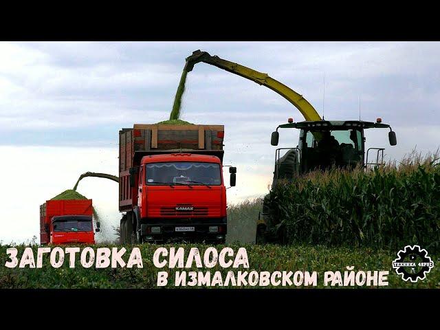 Заготовка силоса. Измалковский район. 2 комбайна Джон Дир и 11 самосвалов. 2022 год