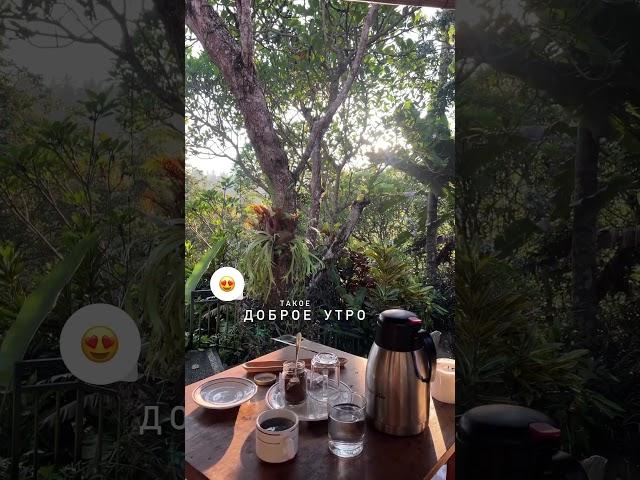 Доброе Балийское утро  #bali #nature #travel #thailand #бали #бали2023