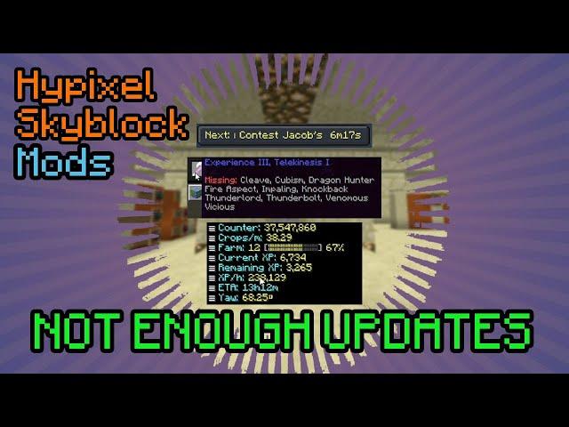 NEU - Not Enough Updates  Hypixel Skyblock Mods Deutsch | Multidissimo