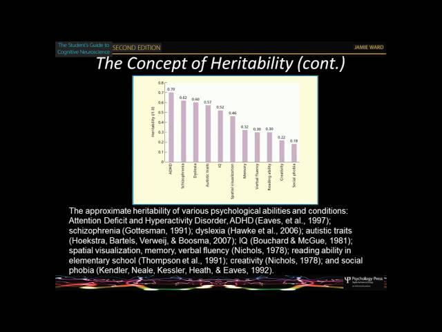 chapter 16 - the developing brain (3rd edition)