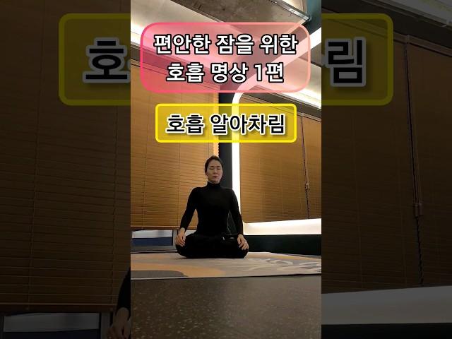 편안한 잠을 위한 호흡 명상 1편 / 호흡 알아차림 #호흡명상 #쿨쿨자자 #수면장애극복
