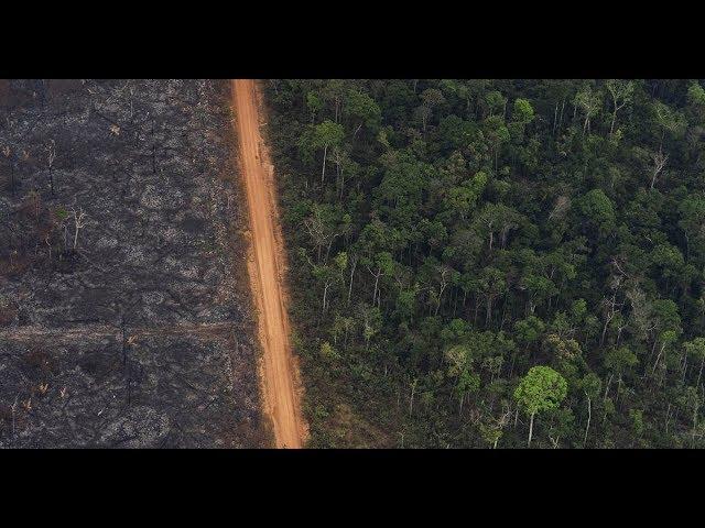 World leaders pledge to protect nature. The U.S., Brazil and Australia aren’t among them.