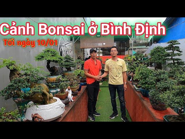 Clip Đặc Biệt tham quan vườn cây Mini tuyệt đẹp của Cảnh Bonsai ở Bình Định