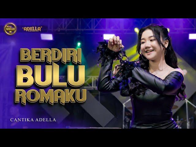 BERDIRI BULU ROMAKU - Cantika Adella - OM ADELLA