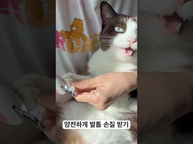 얌전하게 발톱 깎는 둘리