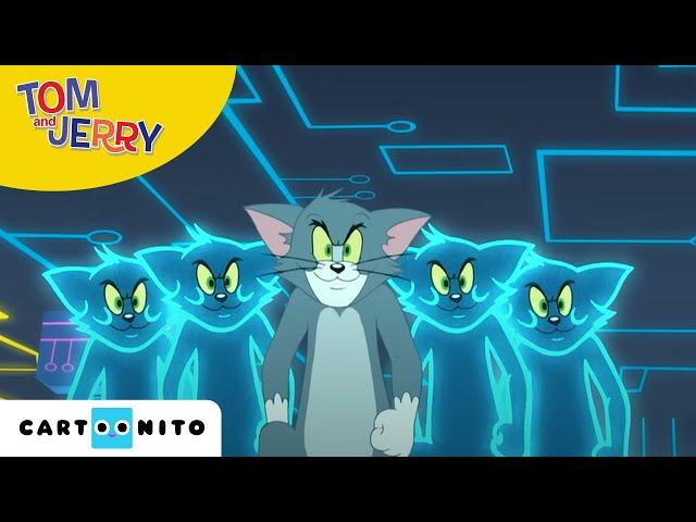 Tom & Jerry auf wilder Jagd | Virtueller Kampf | Cartoonito