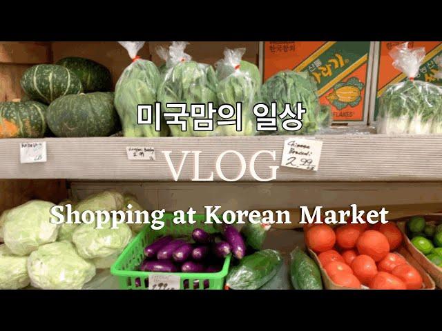 eng)[미국 일상 VLOG]한인마트투어, 로드아일랜드,프로비던스/Korean Market Tour in Providence, RI