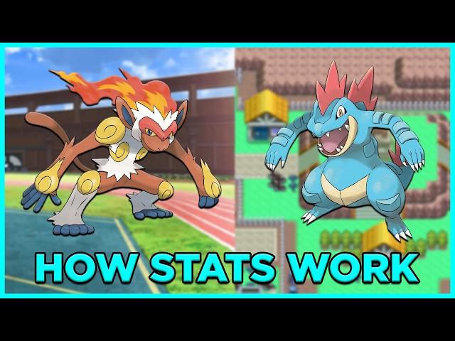 How Do Pokemon Stats Actually Work?