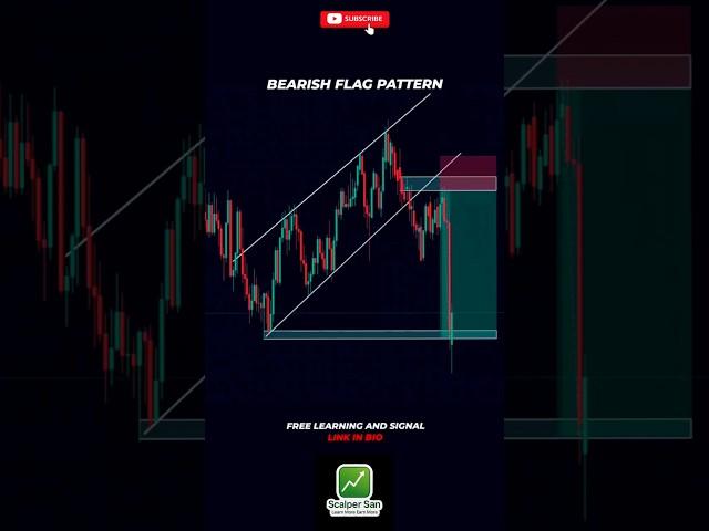 Bearish Flag Pattern | Price Action Trading Setup "Flag Pattern" How to Trade a Flag Pattern | #tips