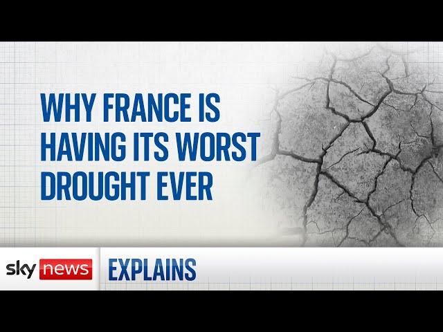 Heatwave: Why is France having its worst drought ever?