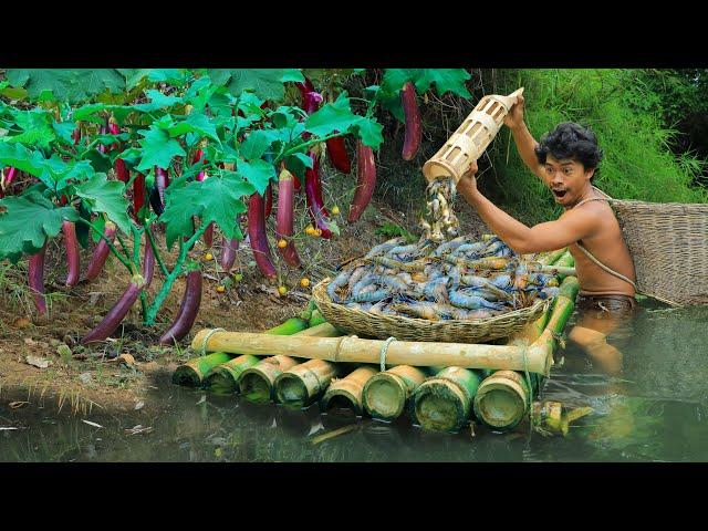 Lobster fishing meets Long eggplant , Long eggplant grows by the river,Lobster in the River