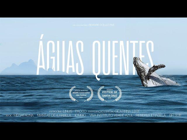 WARM WATERS Documentary | HUMPBACK WHALE migration and biodiversity in ILHABELA