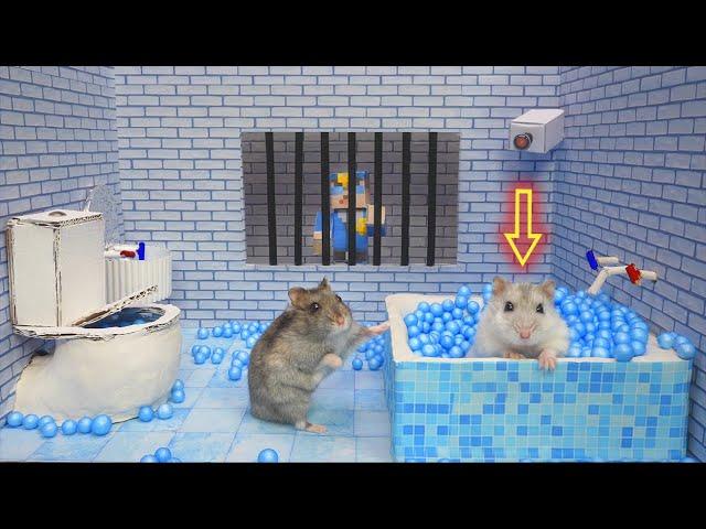 Hamsters Escapes the Awesome 5-Star Luxury Prison Maze with Bathtub for Pets in real life