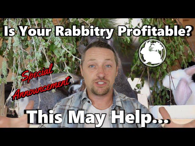 Is Your Rabbitry Profiting?