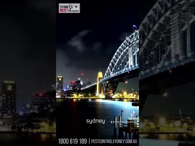 Pest Control Services in Sydney  We can take care of all your pest and termite needs in Sydney   cal