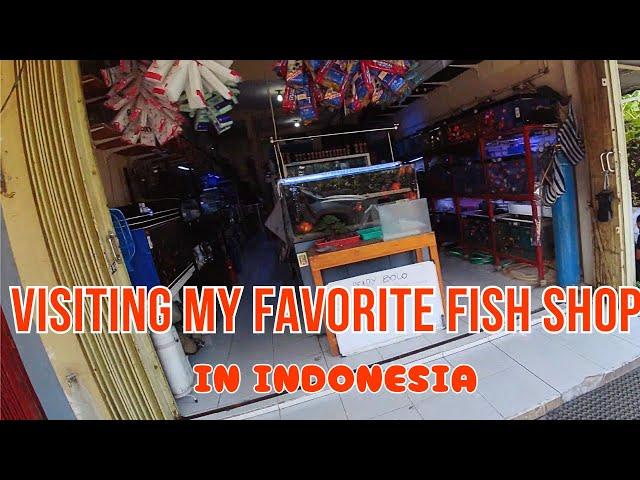 Visiting My Favorite Fish Shop in Indonesia