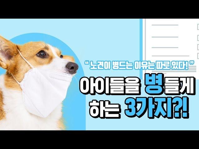 아이들을 병들게 하는 3가지 ?! [24시수동물병원]