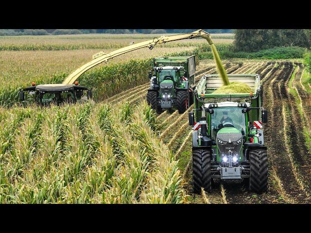 Mais 2023 - Krone BiG X 1180 | 4x Fendt 900 | Große Bohne