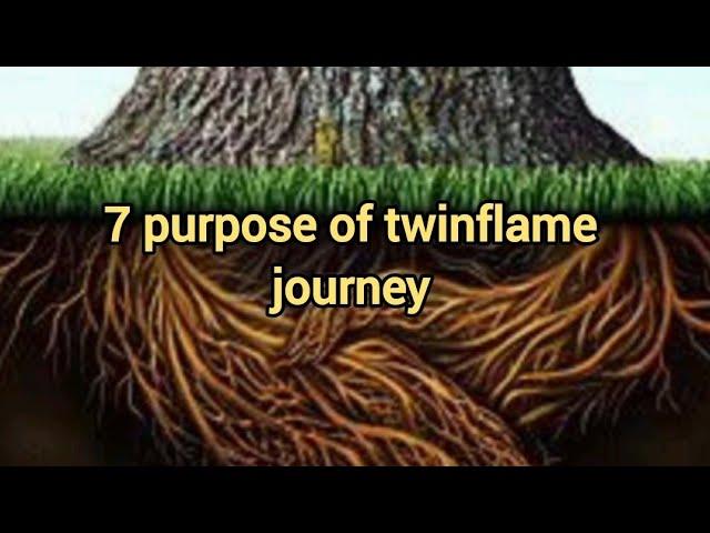 “7 PURPOSE OF TWINFLAME JOURNEY” #ascension #twinflame