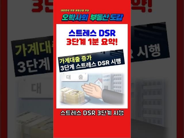 3단계 스트레스 DSR 규제 1분 요약
