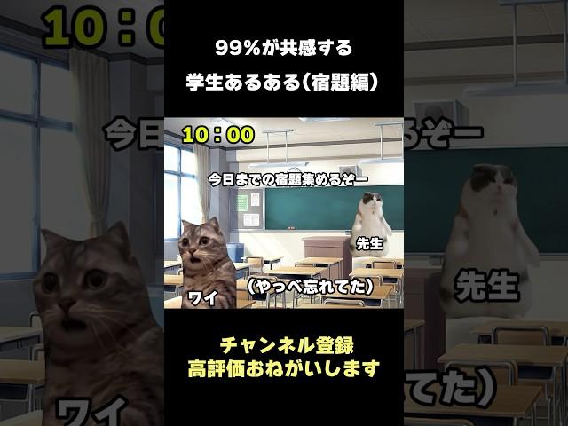 99%が共感する学生あるある【猫ミーム/宿題編】#shorts #猫ミーム