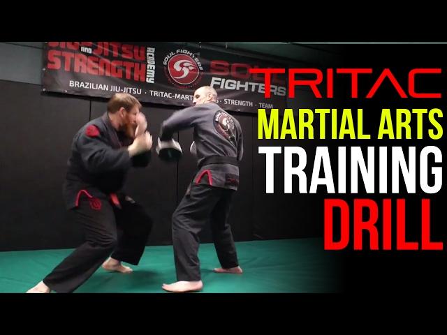 TRITAC Punch Self-Defense Training Drill