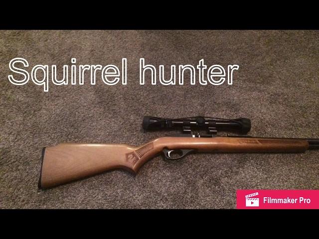 The squirrel rifle review!!