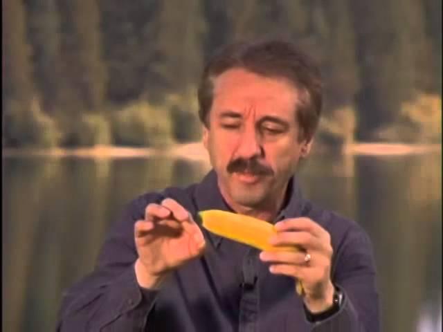 Ray Comfort on the Banana, in context [HQ]