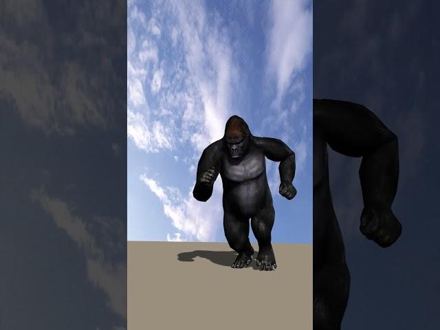 gorilla