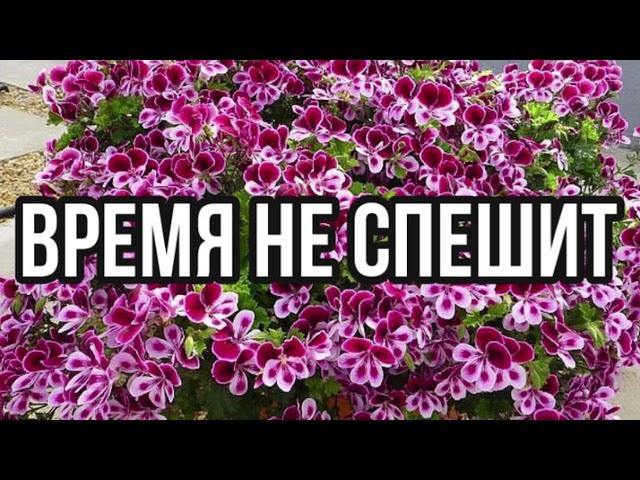 ВРЕМЯ НЕ СПЕШИТ ХРИСТИАНСКИЙ СТИХ