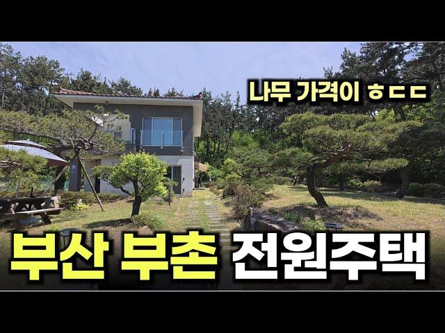 여긴 진짜 미쳤다!! 나무만 8억원치 심어져있는 회장님의 별장 (전원주택 3/3부)